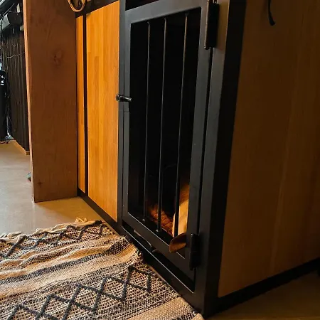 Z Jacuzzi ムジェジノ