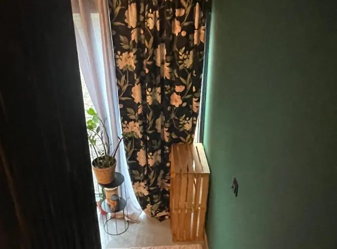 別荘 Z Jacuzzi ムジェジノ