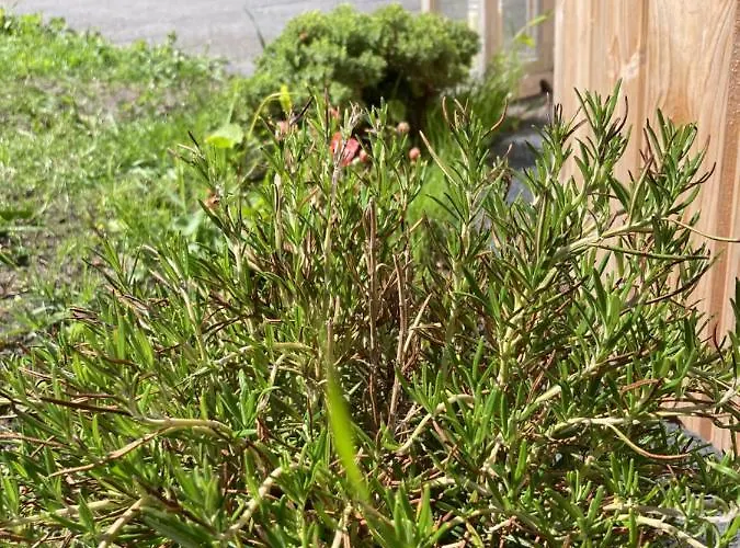 Z Jacuzzi Дом отдыха Мжежино